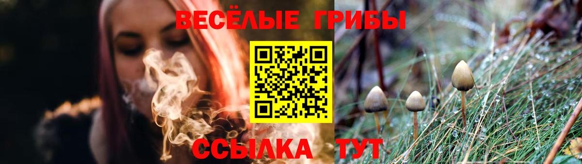 Мурманск  Галлюциногенные грибы GOLDEN TEACHER  продажа наркотиков  Вход с VPN 
